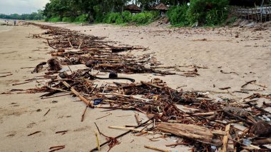 Beach pollution. Plastic, wood and other trash on sea beach. Ecological concept