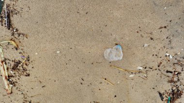 Beach pollution. Plastic, wood and other trash on sea beach. Ecological concept