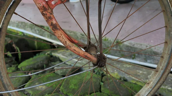 Close up Bicycle Part with Old Cassette Gear is rusty. Rusty bicycle wheel