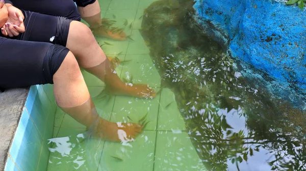 Ψάρια Spa Πεντικιούρ Ευεξίας Θεραπεία Φροντίδας Του Δέρματος Ψάρια Garra — Φωτογραφία Αρχείου