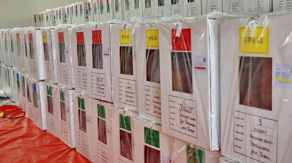 Рабочие во время транспортировки голосуют за всеобщие выборы в Индонезии, Пекалонган 10 февраля 2024 года