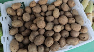 Kaplarda taze patatesler var.