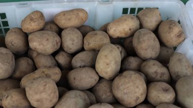 Kaplarda taze patatesler var.