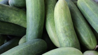 Taze salatalıklar markette konteynırda