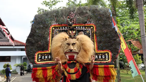 stock image Traditional Dance from is called REOG, masked dancers resembling large tiger decorated with peacock tail feathers, Batang Indonesia April 25 2024