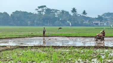 Çiftçilerin tarlalardaki faaliyetleri parlak bir gökyüzüyle sabahları