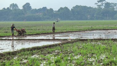 Çiftçilerin tarlalardaki faaliyetleri parlak bir gökyüzüyle sabahları