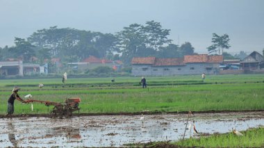Çiftçilerin tarlalardaki faaliyetleri parlak bir gökyüzüyle sabahları