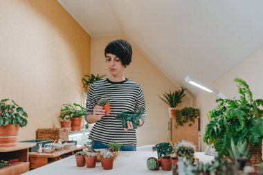 Genç bir kadın, dinazor şeklinde bir saksıya sulu bir bitki ekiyor. Seçici odak.