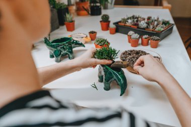 Genç bir kadın, dinazor şeklinde bir saksıya sulu bir bitki ekiyor. Yaklaş, seçici odaklanma.