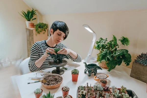 Young Woman Planting Succulent Dinosaur Shape Flower Pot Selective Focus — Stock Photo, Image