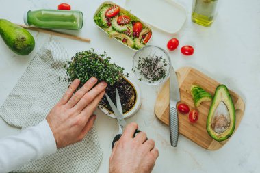 Erkeklerin elleri, beyaz arka planda, avokado, mikroyeşil ve domatesli yemek çantasında salata pişirmek için makas ile turp filizlerini kesiyor. Helathy ev yapımı gıda konsepti. Seçici odak.