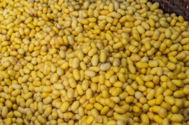 İpekböceği koza sepeti