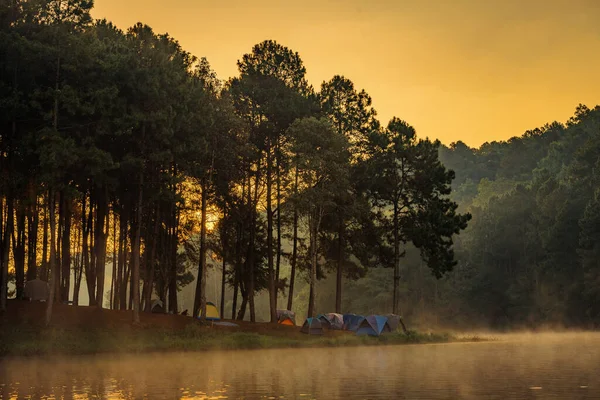 stock image landscape with fog in the morning,cloud mountain valley landscape, morning fog in the forest at pond,foggy on the  mountain.