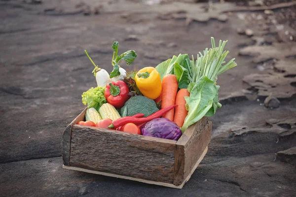 Свежие Органические Овощи Питание Здоровое Питание Сада Овощи Деревянном Фоне — стоковое фото
