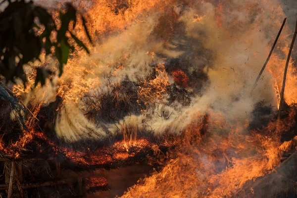 Wiatr Wiejący Płonące Drzewa Podczas Pożaru Lasu Dymu — Zdjęcie stockowe