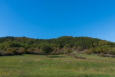 Molise, Adriyatik Denizi 'ne bakan bir İtalyan bölgesidir. Abruzzo Ulusal Parkı 'nın zengin vahşi yaşam ve patikaları olan Appennine dağ sırasındaki bir bölümünü içerir..