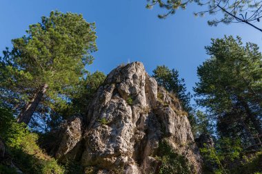 Molise, Adriyatik Denizi 'ne bakan bir İtalyan bölgesidir. Abruzzo Ulusal Parkı 'nın zengin vahşi yaşam ve patikaları olan Appennine dağ sırasındaki bir bölümünü içerir..