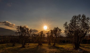 Molise, Adriyatik Denizi 'ne bakan bir İtalyan bölgesidir. Abruzzo Ulusal Parkı 'nın zengin vahşi yaşam ve patikaları olan Appennine dağ sırasındaki bir bölümünü içerir..