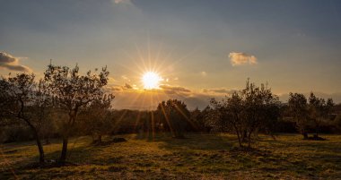 Molise, Adriyatik Denizi 'ne bakan bir İtalyan bölgesidir. Abruzzo Ulusal Parkı 'nın zengin vahşi yaşam ve patikaları olan Appennine dağ sırasındaki bir bölümünü içerir..
