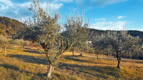 Моліза Італійський Гірський Регіон Ділянкою Узбережжя Над Адріатичним Морем Включає — стокове відео