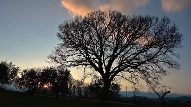 Molise Een Italiaanse Bergachtige Regio Met Een Stuk Kust Met — Stockvideo