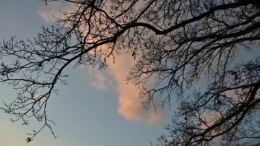 Molise, Adriyatik Denizi kıyısında uzanan bir İtalyan dağlık bölgesidir. Apennine Dağları 'ndaki Abruzzo Milli Parkı' nın zengin bir kısmını kapsıyor..