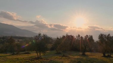 Molise, Adriyatik Denizi 'ne bakan bir İtalyan bölgesidir. Abruzzo Ulusal Parkı 'nın zengin vahşi yaşam ve patikaları olan Appennine dağ sırasındaki bir bölümünü içerir..
