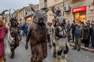 In Molise and in numerous geographical areas of Europe, festivals and rituals survive that see the masks of the man - faun as protagonists, disguises mainly linked to the carnival period.