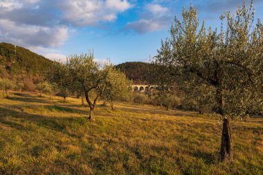 Molise, Adriyatik Denizi 'ne bakan bir İtalyan bölgesidir. Abruzzo Ulusal Parkı 'nın zengin vahşi yaşam ve patikaları olan Appennine dağ sırasındaki bir bölümünü içerir..