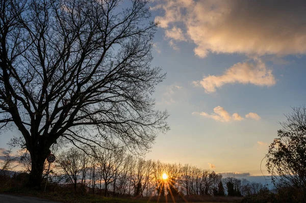 stock image Molise is an Italian region with a stretch of coast overlooking the Adriatic Sea. It includes a part of the Abruzzo National Park in the Appennine mountain range, with a rich wildlife and trails.