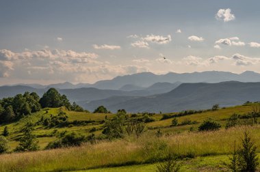 Molise, Adriyatik Denizi 'ne bakan bir İtalyan bölgesidir. Abruzzo Ulusal Parkı 'nın zengin vahşi yaşam ve patikaları olan Appennine dağ sırasındaki bir bölümünü içerir..