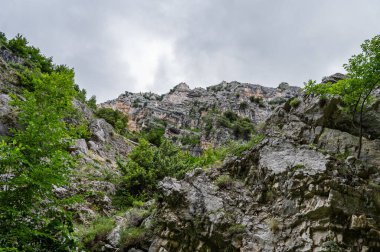 Fara San Martino-Palombaro doğa koruma alanı, 1983 yılında Fara San Martino ve Palombaro belediyelerinde kurulmuş olan 4202 hektarlık koruma alanı.