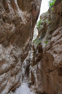 Fara San Martino-Palombaro doğa koruma alanı, 1983 yılında Fara San Martino ve Palombaro belediyelerinde kurulmuş olan 4202 hektarlık koruma alanı.