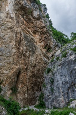 Fara San Martino-Palombaro doğa koruma alanı, 1983 yılında Fara San Martino ve Palombaro belediyelerinde kurulmuş olan 4202 hektarlık koruma alanı.