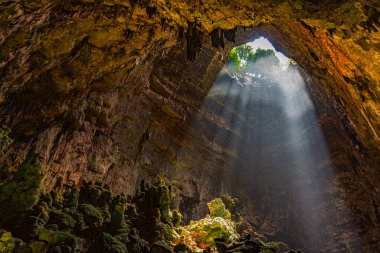 Castellana Mağaraları, Puglia, İtalya. Murge 'nin güneydoğusundaki kasabadan iki kilometreden daha az mesafede 330 metreye çıkıyorlar. Kretase 'nin üst kısmında kireçtaşı platoları oluştu.