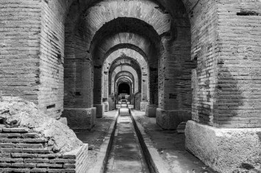 Campanian Amfitiyatrosu, Santa Maria Capua Vetere şehrinde bulunan ve antik Capua ile çakışan Roma amfitiyatrosudur.