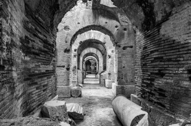 Campanian Amfitiyatrosu, Santa Maria Capua Vetere şehrinde bulunan ve antik Capua ile çakışan Roma amfitiyatrosudur.