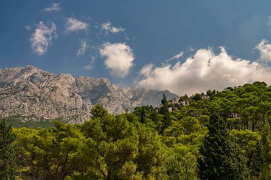 Hırvatistan, Adriyatik Denizi üzerinde uzun bir kıyı şeridi bulunan bir Doğu Avrupa ülkesi. Binden fazla adayı kapsıyor ve Dinarik Alpler tarafından geçiliyor. Başkenti Zagreb..