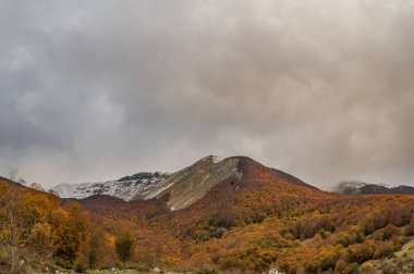 Mainarde sıradağları Molise ve Lazio arasındaki sınır boyunca uzanır ve Molise topraklarında yaygındır. Bu çok kayalık doğal bir bariyer ve engebeli bir görünüm.