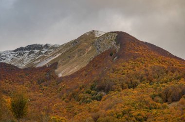 Mainarde sıradağları Molise ve Lazio arasındaki sınır boyunca uzanır ve Molise topraklarında yaygındır. Bu çok kayalık doğal bir bariyer ve engebeli bir görünüm.