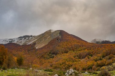 Mainarde sıradağları Molise ve Lazio arasındaki sınır boyunca uzanır ve Molise topraklarında yaygındır. Bu çok kayalık doğal bir bariyer ve engebeli bir görünüm.