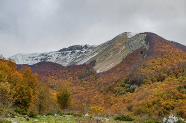 Mainarde sıradağları Molise ve Lazio arasındaki sınır boyunca uzanır ve Molise topraklarında yaygındır. Bu çok kayalık doğal bir bariyer ve engebeli bir görünüm.