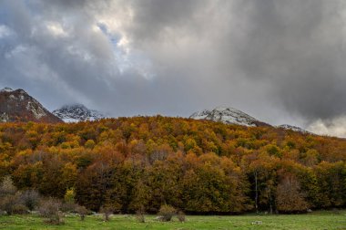 Mainarde sıradağları Molise ve Lazio arasındaki sınır boyunca uzanır ve Molise topraklarında yaygındır. Bu çok kayalık doğal bir bariyer ve engebeli bir görünüm.