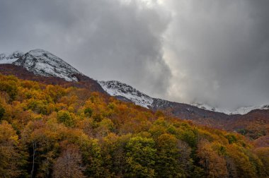 Mainarde sıradağları Molise ve Lazio arasındaki sınır boyunca uzanır ve Molise topraklarında yaygındır. Bu çok kayalık doğal bir bariyer ve engebeli bir görünüm.