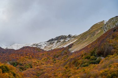 Mainarde sıradağları Molise ve Lazio arasındaki sınır boyunca uzanır ve Molise topraklarında yaygındır. Bu çok kayalık doğal bir bariyer ve engebeli bir görünüm.