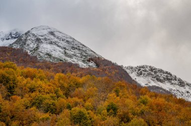 Mainarde sıradağları Molise ve Lazio arasındaki sınır boyunca uzanır ve Molise topraklarında yaygındır. Bu çok kayalık doğal bir bariyer ve engebeli bir görünüm.