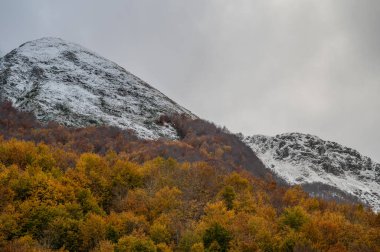 Mainarde sıradağları Molise ve Lazio arasındaki sınır boyunca uzanır ve Molise topraklarında yaygındır. Bu çok kayalık doğal bir bariyer ve engebeli bir görünüm.