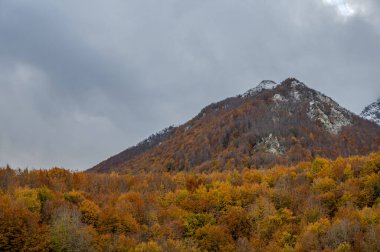 Mainarde sıradağları Molise ve Lazio arasındaki sınır boyunca uzanır ve Molise topraklarında yaygındır. Bu çok kayalık doğal bir bariyer ve engebeli bir görünüm.