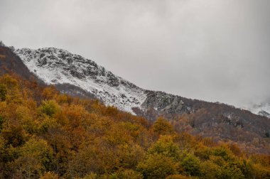 Mainarde sıradağları Molise ve Lazio arasındaki sınır boyunca uzanır ve Molise topraklarında yaygındır. Bu çok kayalık doğal bir bariyer ve engebeli bir görünüm.